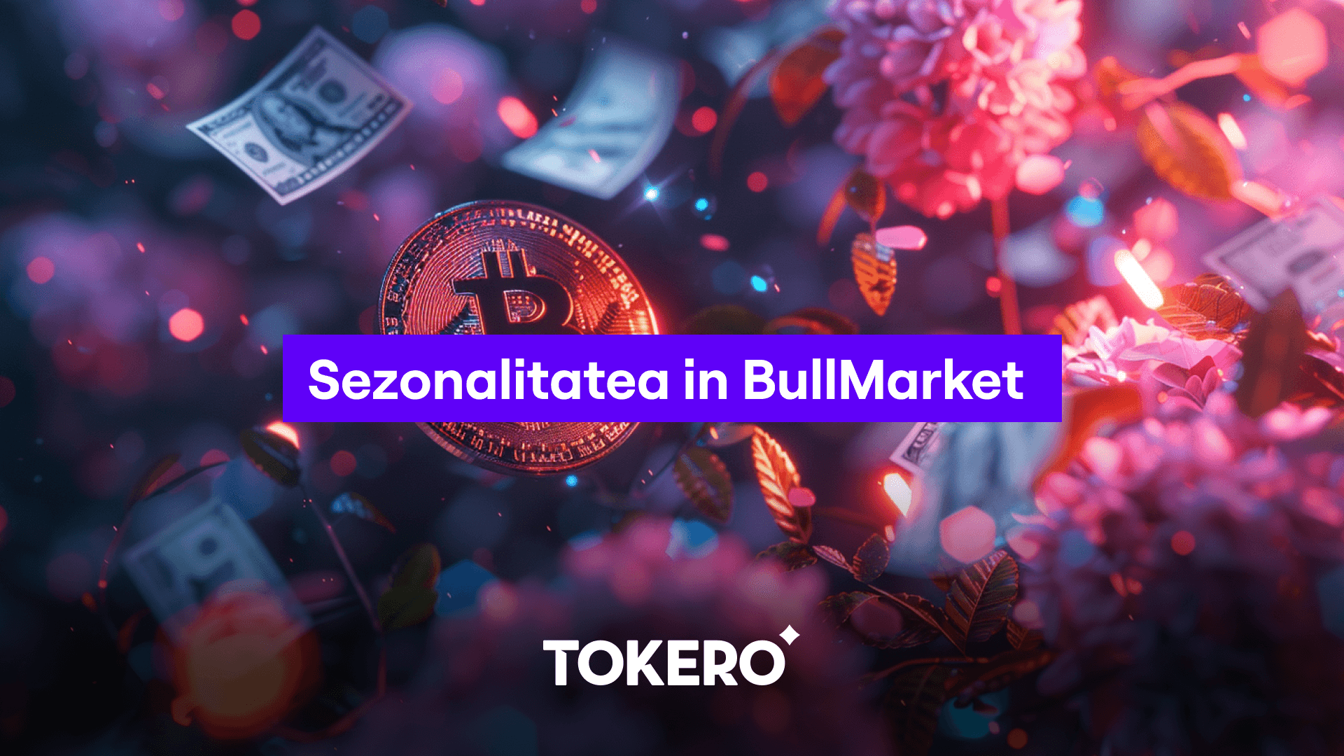 Sezonalitatea în BullMarket