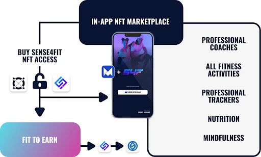 FIT TO EARN Ecosystem