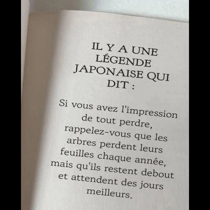 Image de la publication